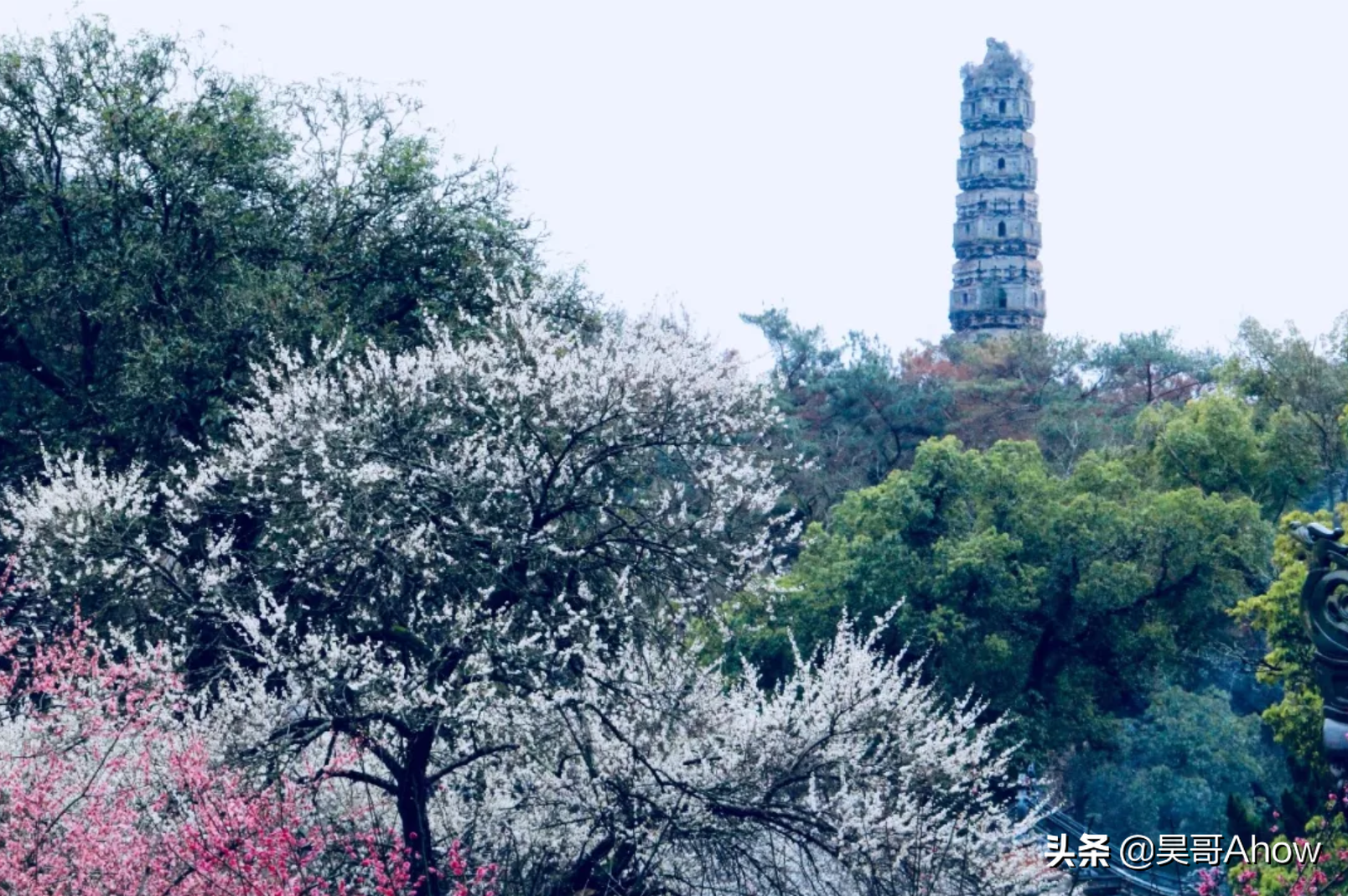 中国最良心的4大著名寺院，3处免门票，1处门票只卖1元