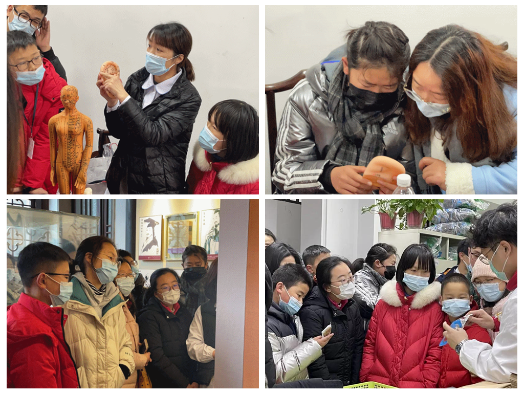 体验传统中医文化，亲子携手探秘苏州中医药博物馆