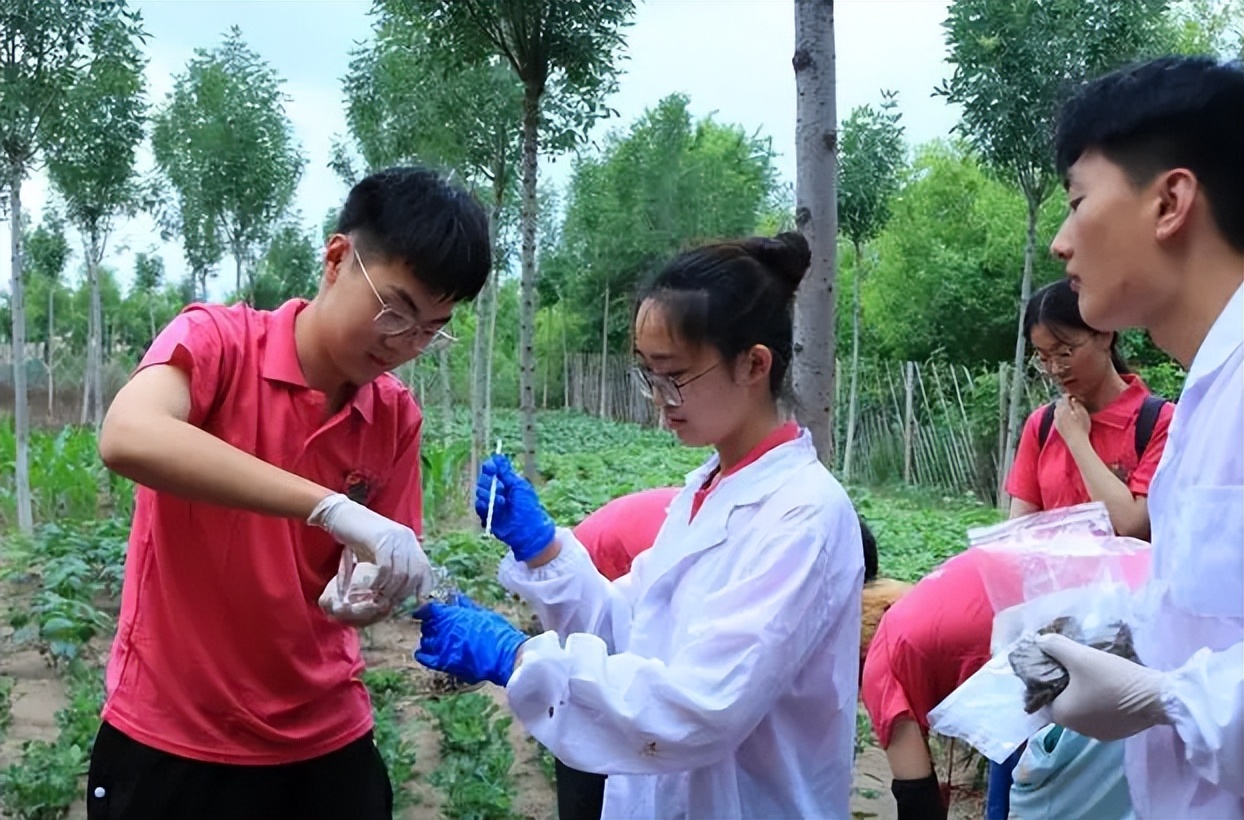 高考锦鲤556分考入上交，这志愿填的真有技术水平，差一点都不行