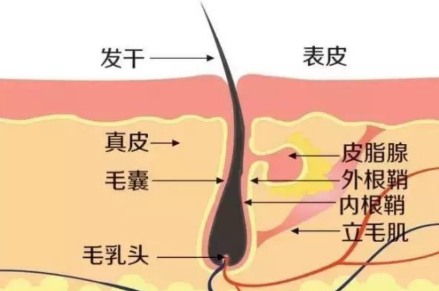 别用手直接触摸身体，入殓师：无关恐惧，就算是亲人也不能这样做