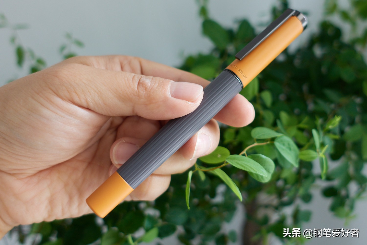 国产钢笔发展的新路子？萧伯纳灯塔系列钢笔评测及国产钢笔发展