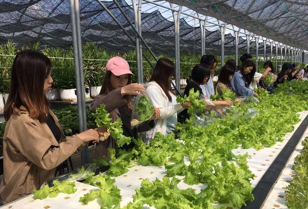 中国农林类大学最新排名敲定！中国农大遥遥领先，北林成最大黑马