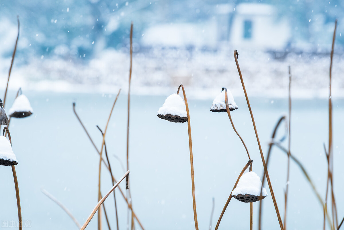 散文,半城风,半城雪,满城冬天