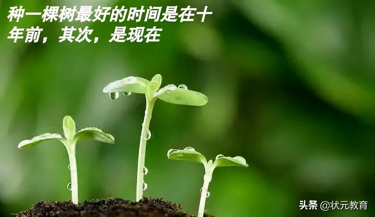 高考倒计时146天，存好这份高考攻略，该收心做最后的冲刺了