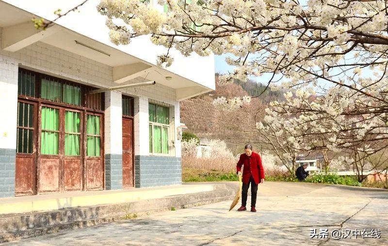 寧強(qiáng)縣七盤(pán)關(guān)：花爭(zhēng)艷 春意濃