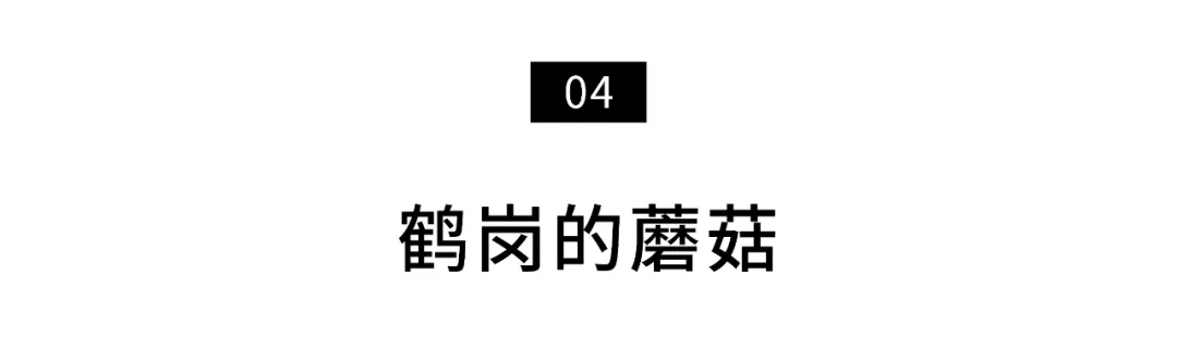 做最辛苦的北漂,住地下室10年,他终于被权威认可