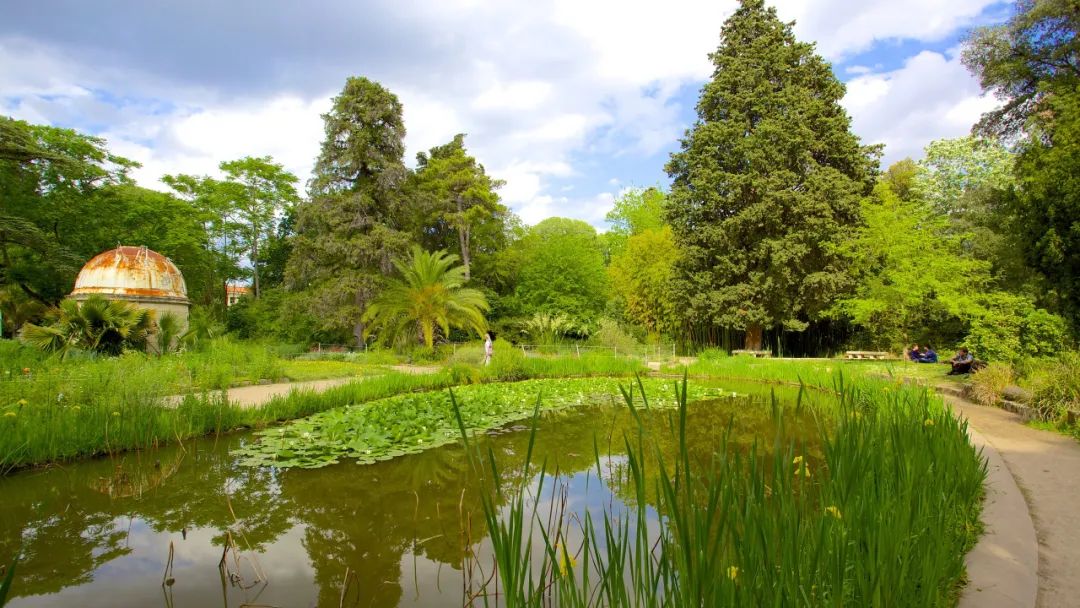 蒙彼利埃第三大学(蒙彼利埃植物园 Jardin des plantes de Montpellier)