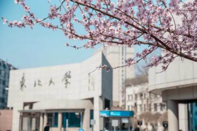 985大学“档次排名”更新，人大排名出人意料，东北大学吊车尾