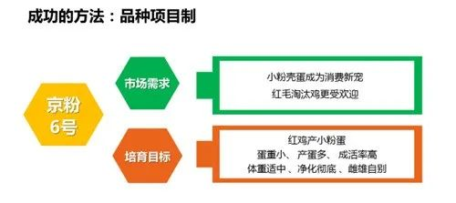 浅谈中国蛋鸡行业当下发展趋势