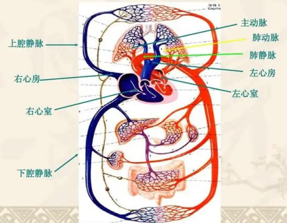 别用手直接触摸身体，入殓师：无关恐惧，就算是亲人也不能这样做