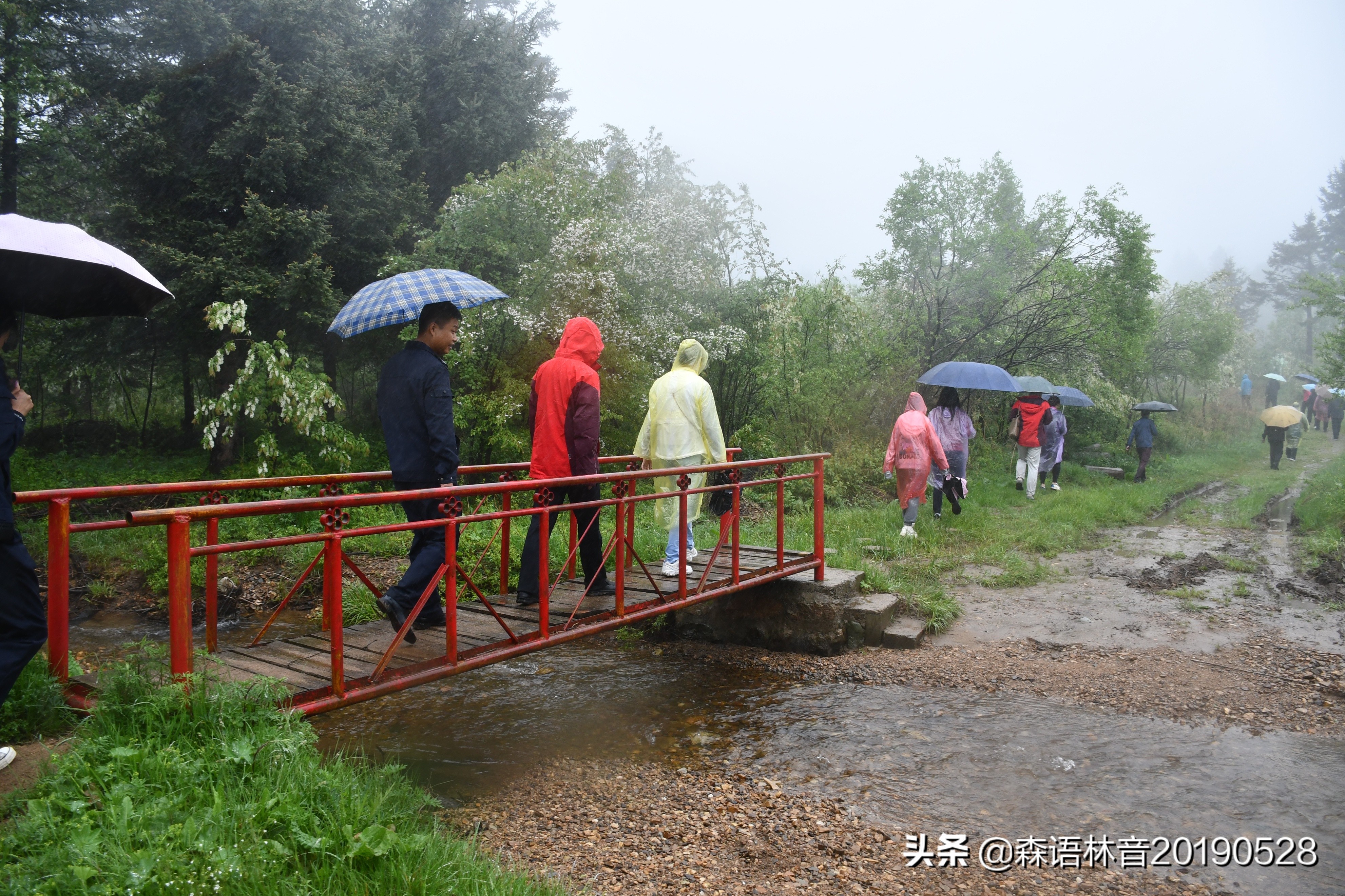 烟雨通天河 丹青水墨画——送你一个夏天“趣”通天河的理由