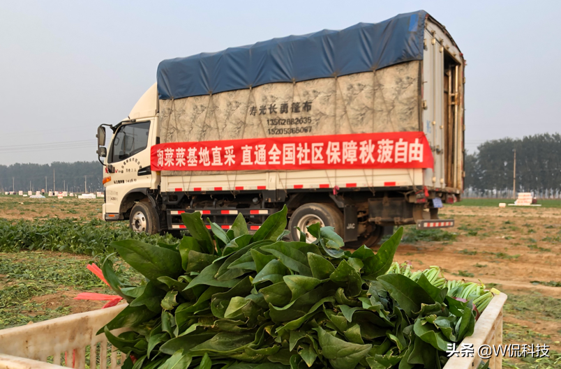 时隔一年，人民日报再次“点名”阿里巴巴，还马云“清白”