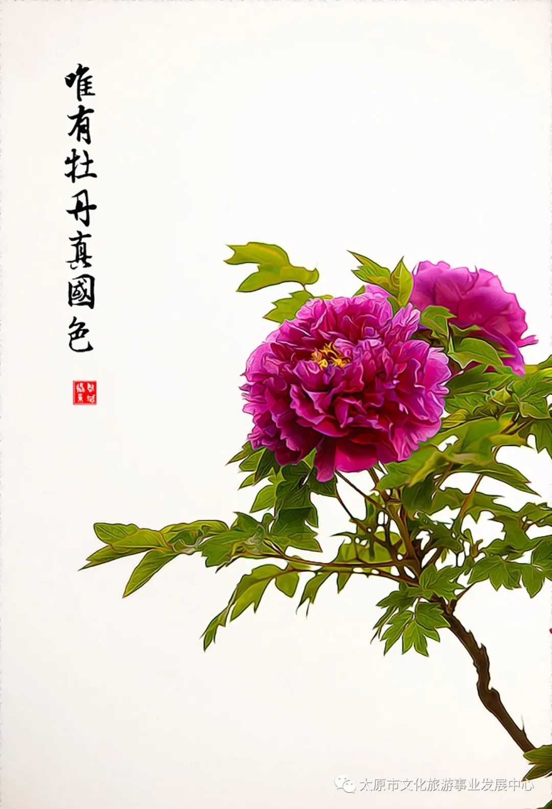 线上展览|“山河春意 锦绣太原——花的世界”主题摄影线上图片展（七）