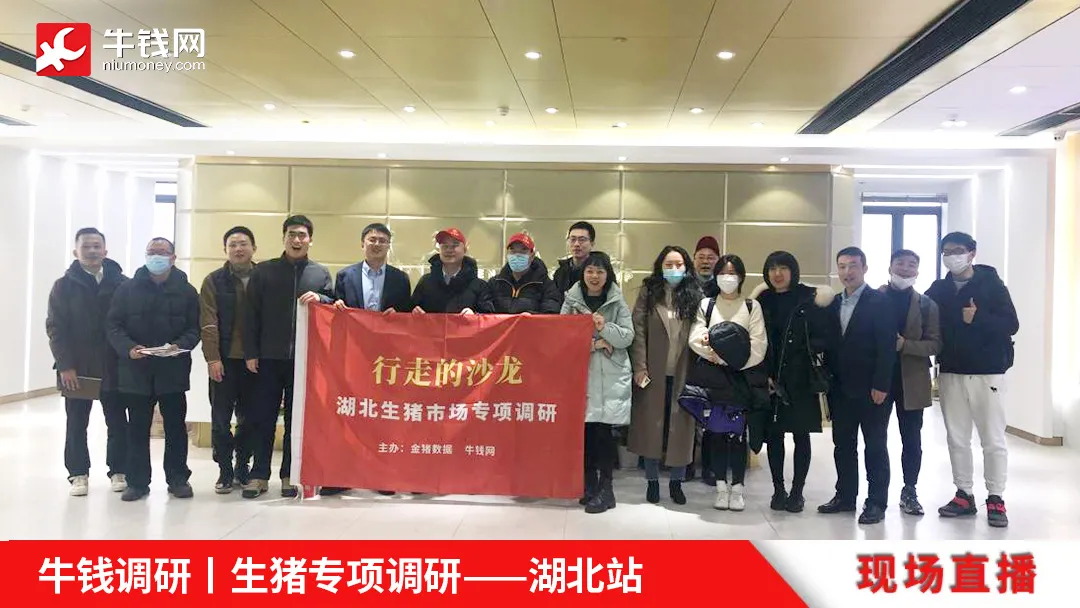 牛钱调研 | 湖北生猪专项调研第一天