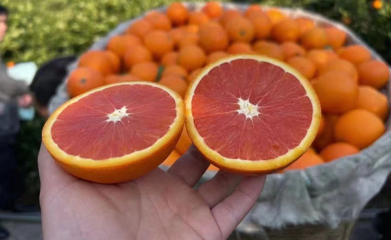 互联网+脐橙产业发展