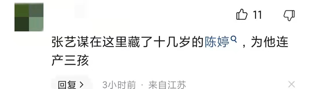 曝张艺谋急售无锡临湖别墅，3000万大甩卖，中介称仅装修花500万