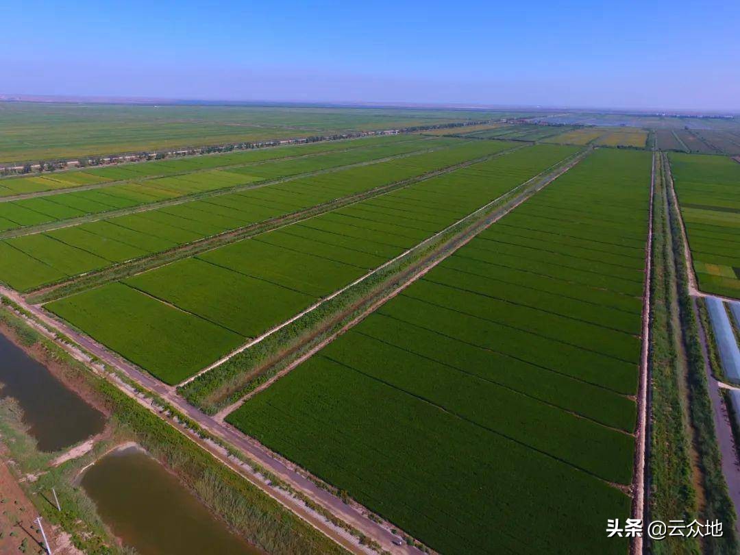 农民不种地了，土地如何流转出去？种植大户如何规范流转土地？