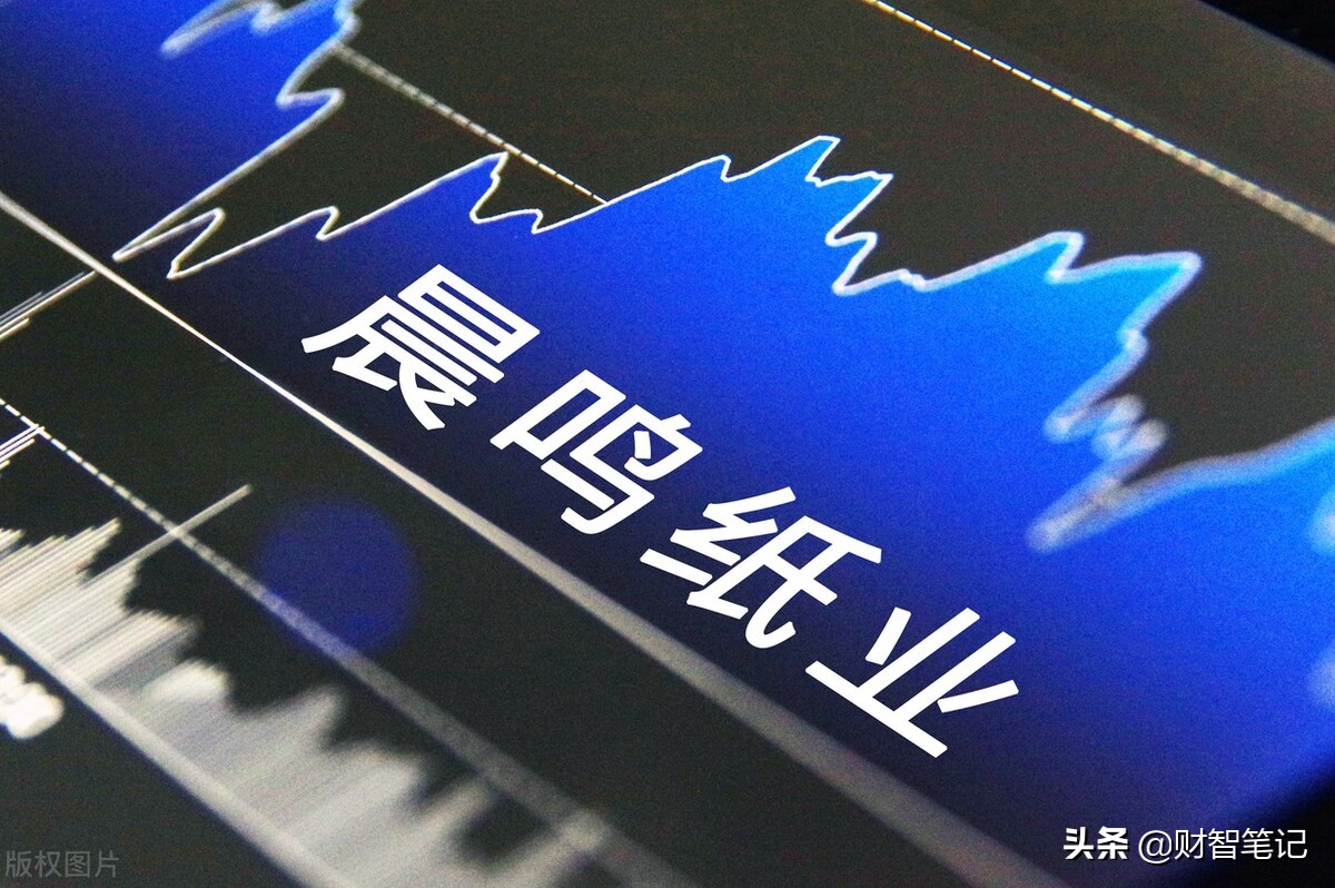 中国造纸业顶尖的五大龙头企业