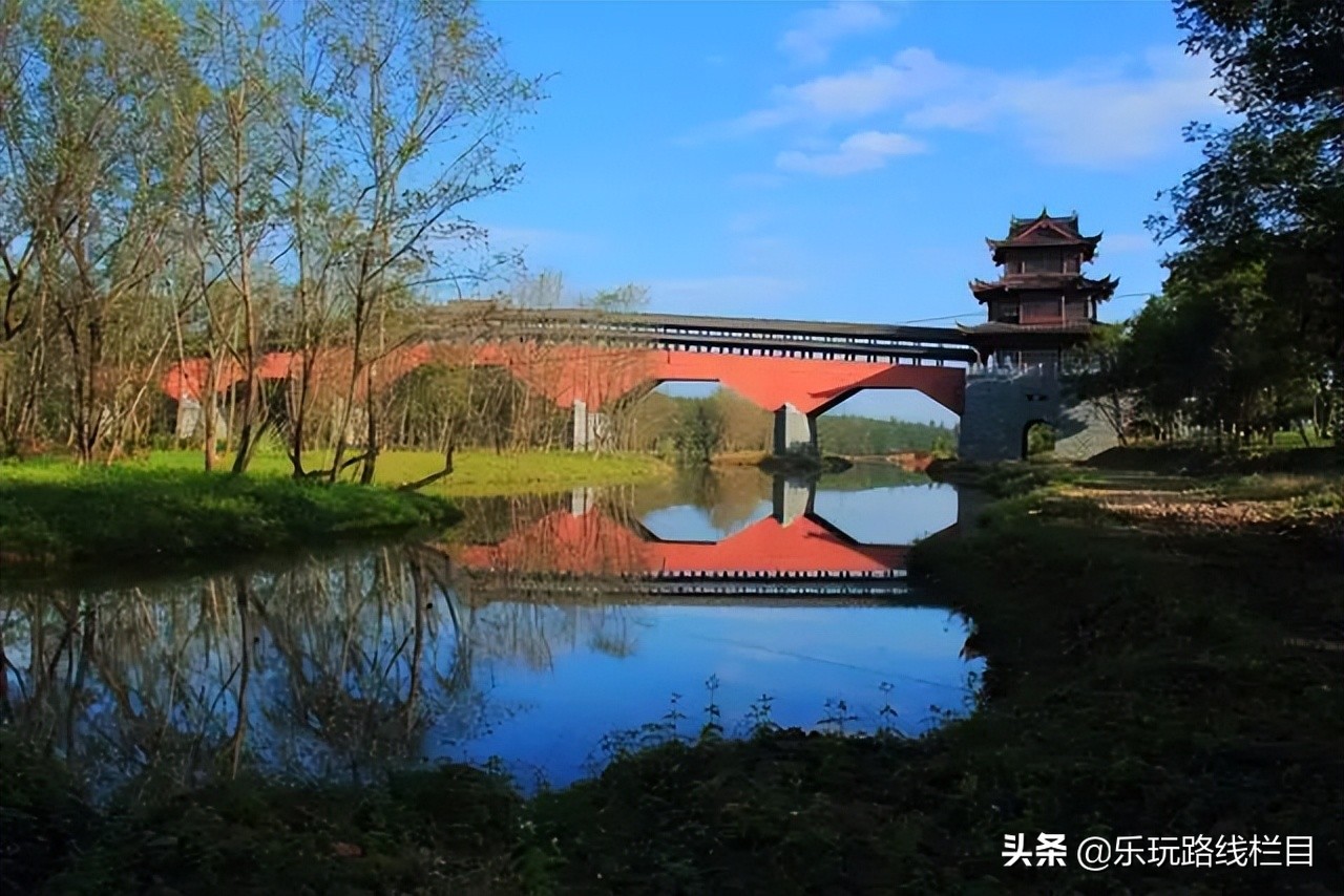 收藏！莲都春游好去处都在这里了