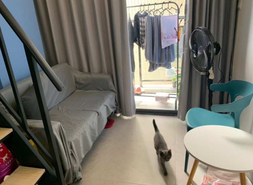 南大“夫妻宿舍”受欢迎，年租金仅需2400元，网友对此看法不一