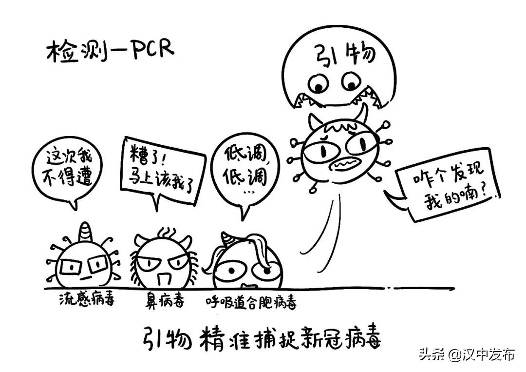 勿催！一份核酸檢測報(bào)告的誕生不簡單→