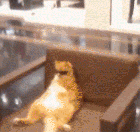 我妈让我把鱼解冻，结果打游戏没注意煮熟了怎么办？