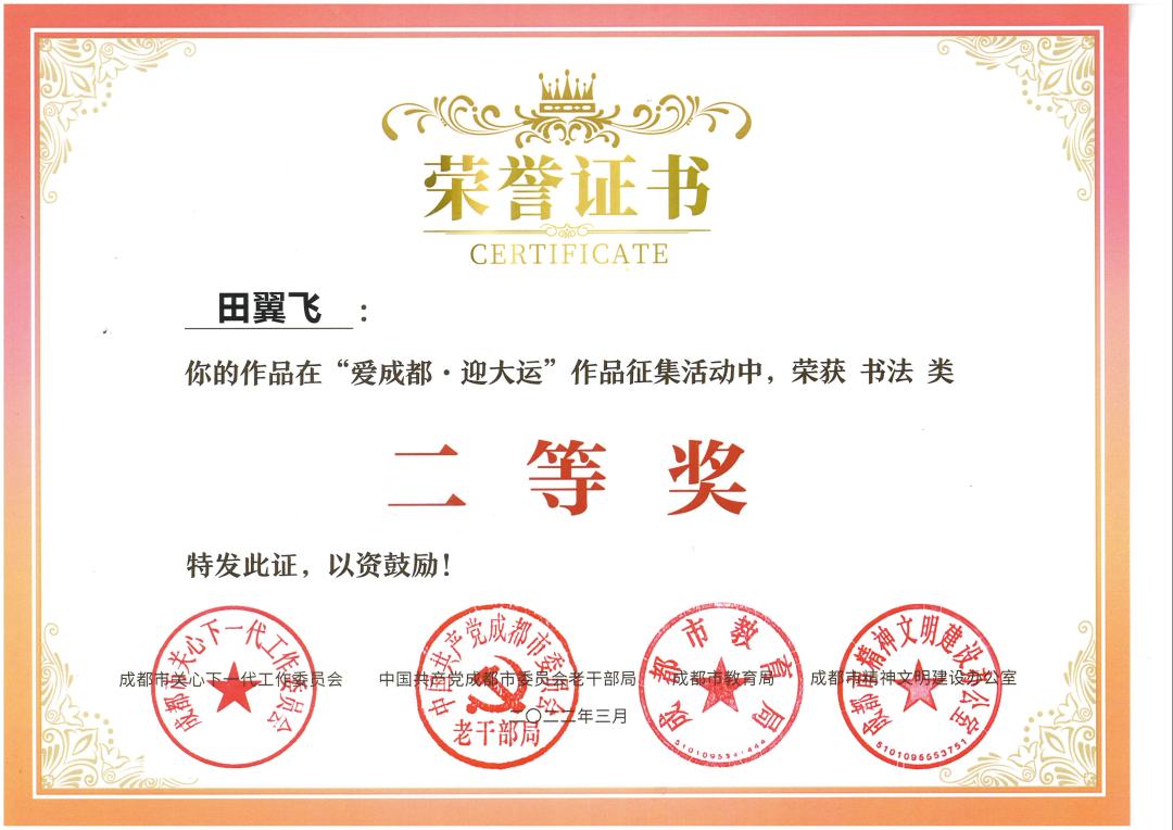 天府新区南湖小学参加“爱成都·迎大运”书法比赛并取得优异成绩