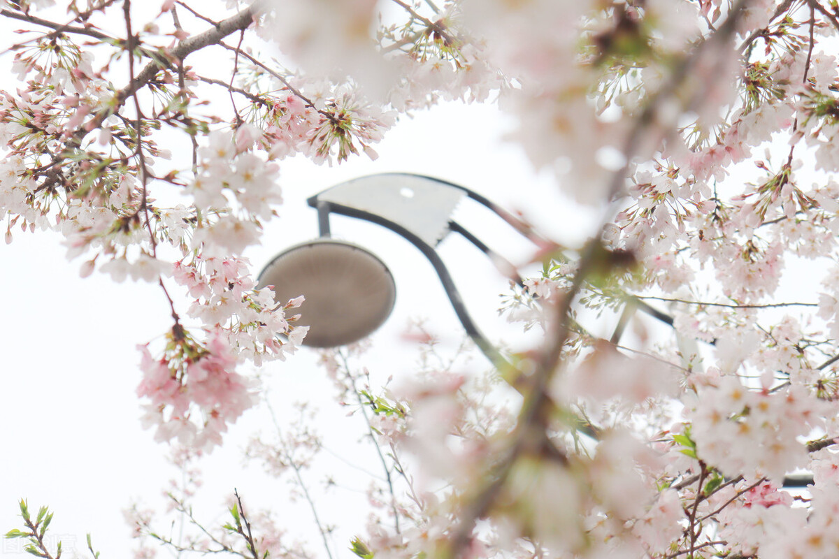 2022年湖北经济学院成人高考函授专科、本科、专升本招生报名专业