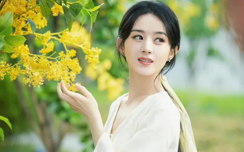 赵丽颖越来越温柔了！变得成熟知性了，努力的人在哪都会被看到