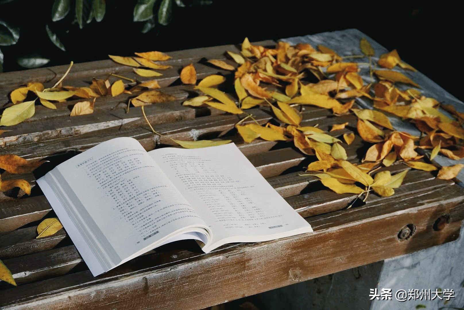 【值得思考】有什么是你上了大学后才坚信不疑的事情？