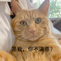 封校中的大学生，浅疯一下