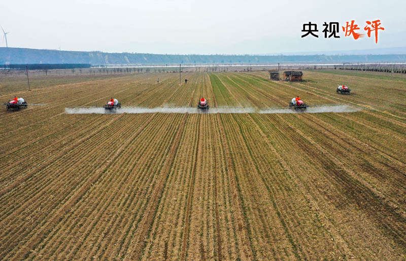 「两会央视快评」把“藏粮于地、藏粮于技”真正落实到位