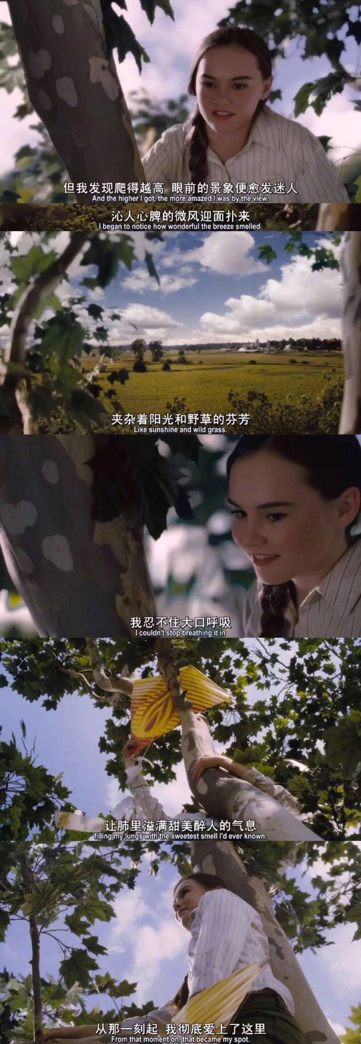 我们从电影里，看到自己的心事