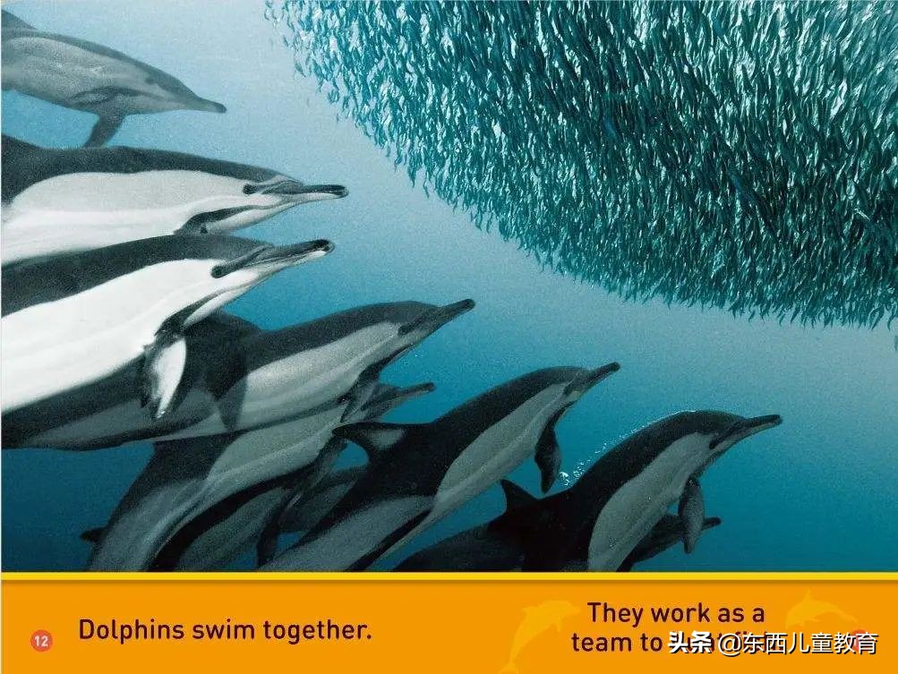 虎年第一篇就是大招，双减下的英语学习全年规划（上）