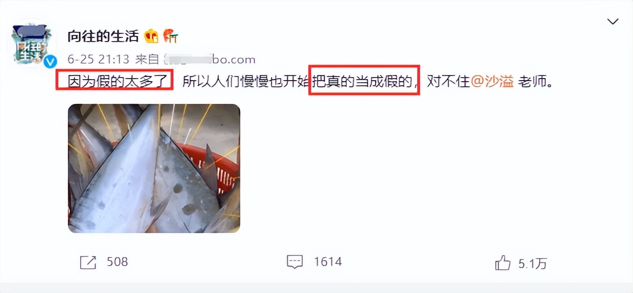 吃空气、假开车、骑假马、戴假肩胛骨，内娱明星拍戏有啥是真的？