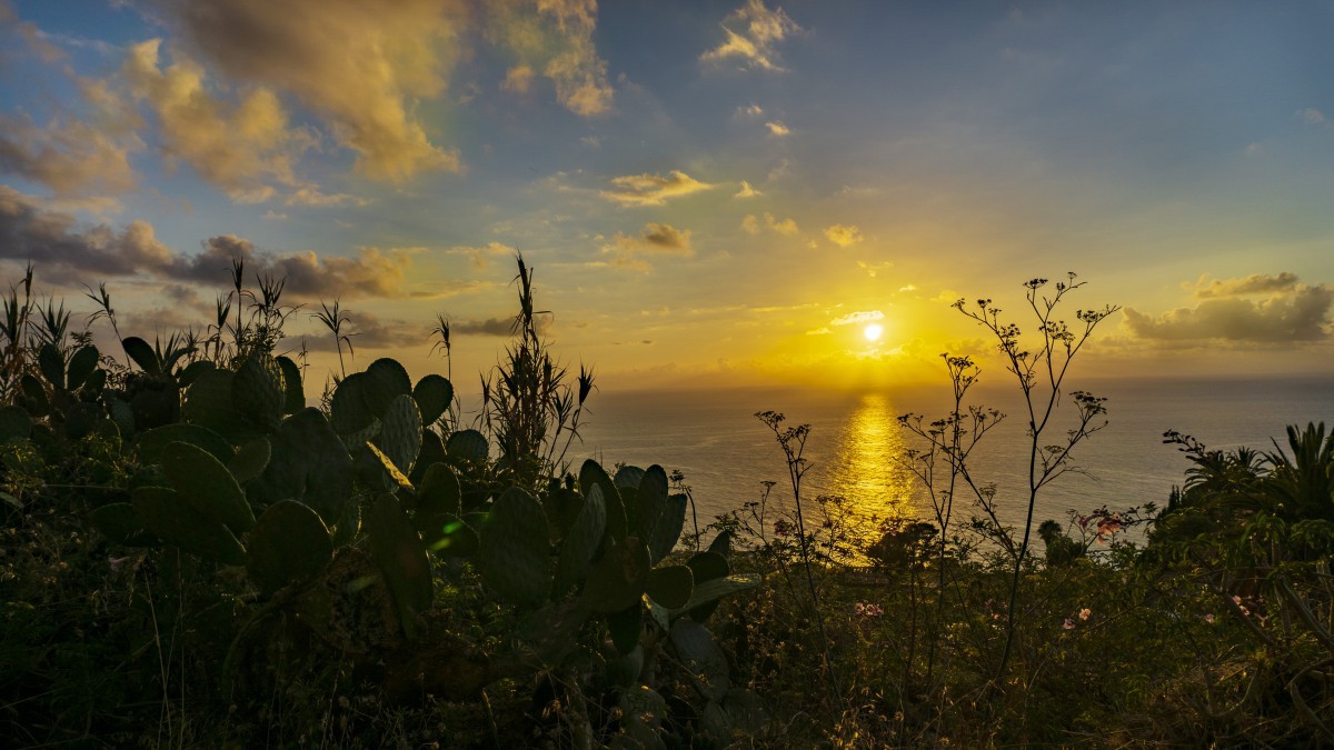 员工培训课程（什么是员工培训）