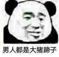 沙雕网友日常：文案撩得很追你又不肯，私信还叫我滚无情又残忍