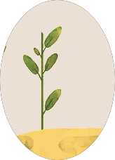 注册会计师经济法目录（最全）