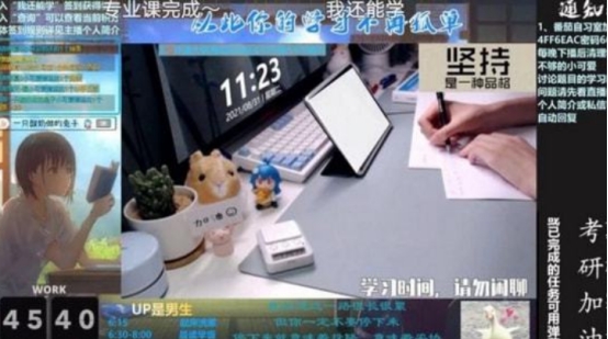 “直播考研”火了，连考四年没上岸，钱倒是没少赚