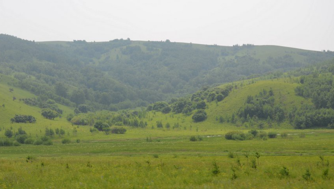 “万里大造林”的陈相贵：曾182万买手机号，为何08年沦为阶下囚