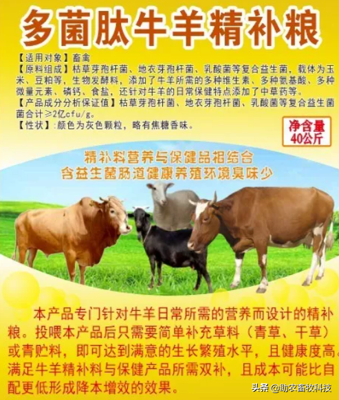 外购瘦弱牛或牛犊短时间育肥的诀窍，每头牛三个月赚3千很容易