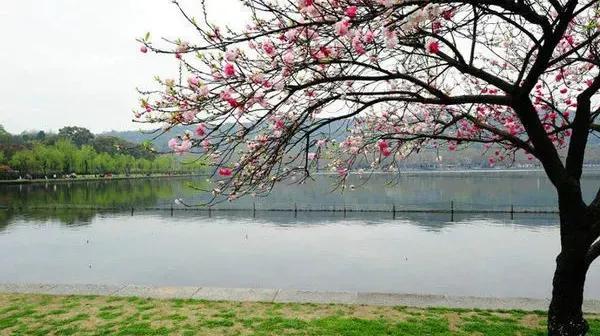 无边春雨细如愁，描写愁最好的九首古诗词，且看愁都是什么样的？