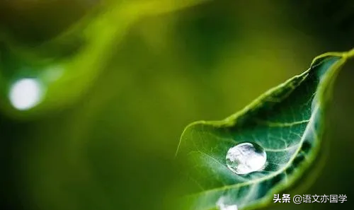 《荷塘月色》《故都的秋》《我与地坛》群文教学应该关注的点