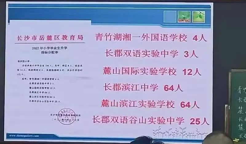 重磅！2022年长沙小升初微机派位指标公布，天心区扬眉吐气