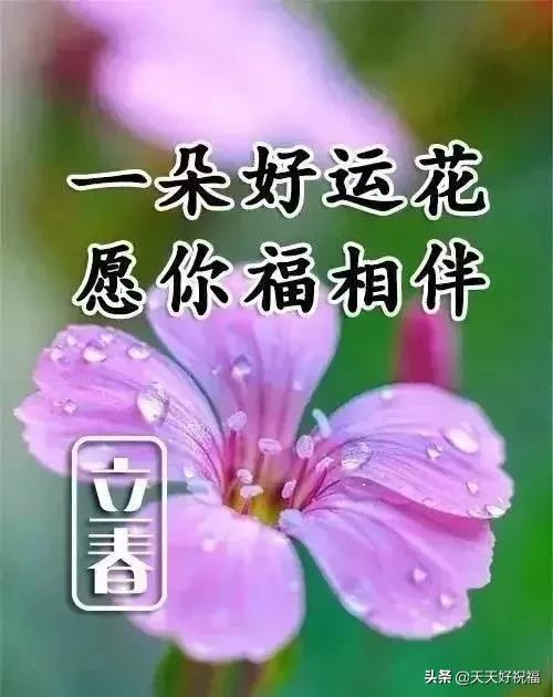 立春，祝福问候早送上，致我的亲人朋友