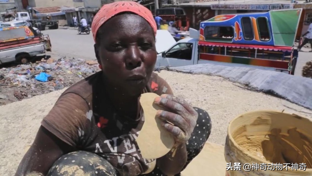 中国十大致命毒蝎排行榜：探寻最危险的毒蝎种类