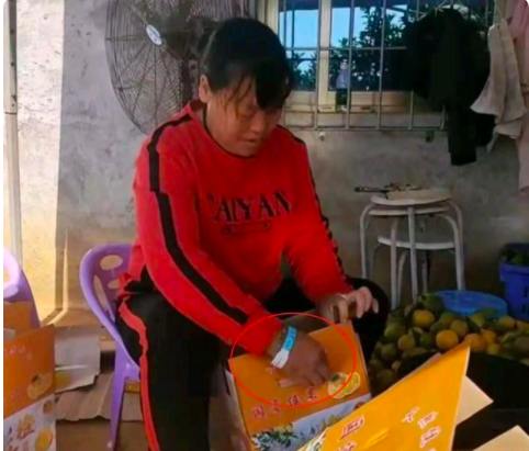 奥运冠军全红婵获重奖，全家喜提45万，仍坚持干农活让人肃然起敬