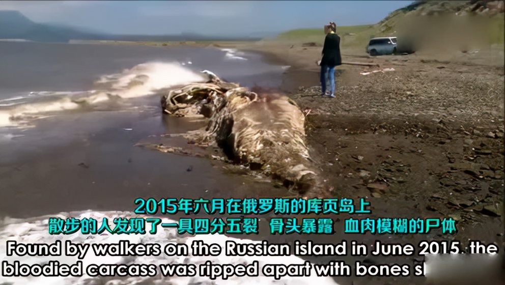“恶魔之花”胞姐“水中杀手”入侵广东！为何不敢吃？究竟有多毒