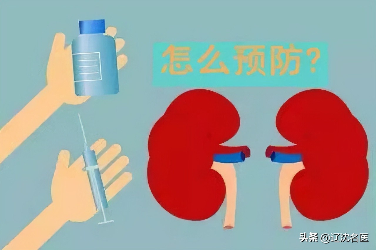 春季如何保护肾健康