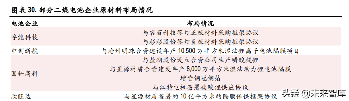 动力电池行业专题研究：行业龙头确立，二线企业有望崛起